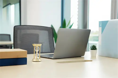 禁食猫怎么生活